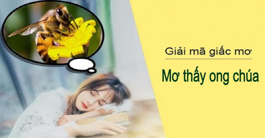 giải mã mơ thấy ong