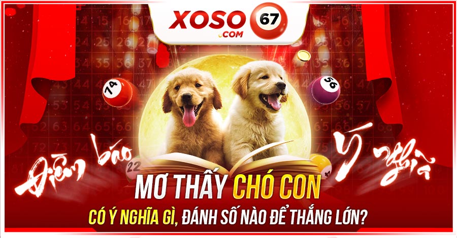 mơ thấy chó con