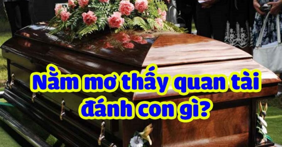 mơ thấy quan tài đánh con gì