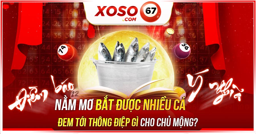 mơ bắt được nhiều cá