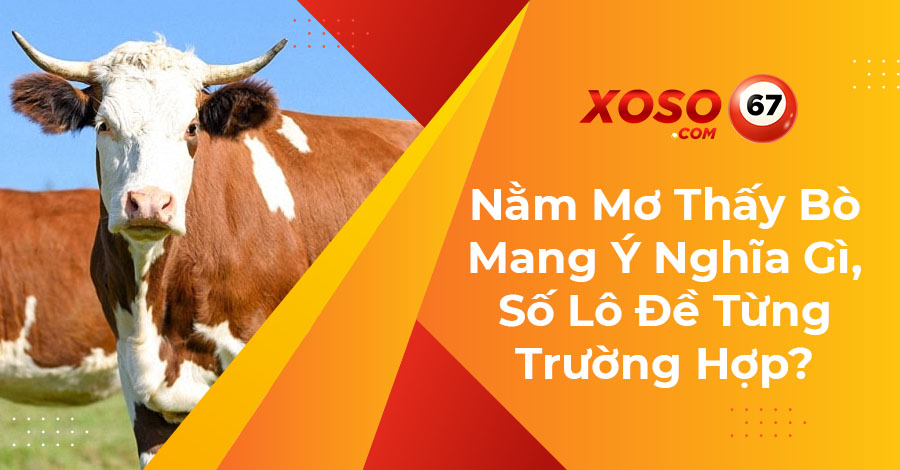 nằm mơ thấy bò