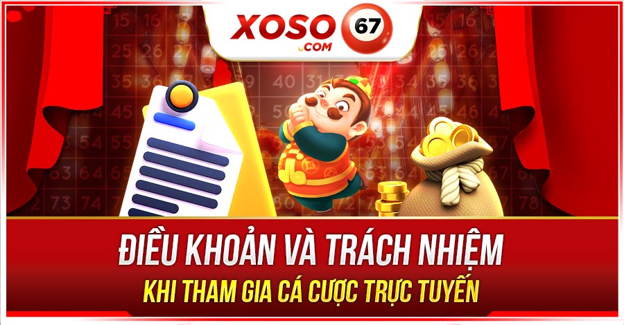 điều khoản và trách nhiệm