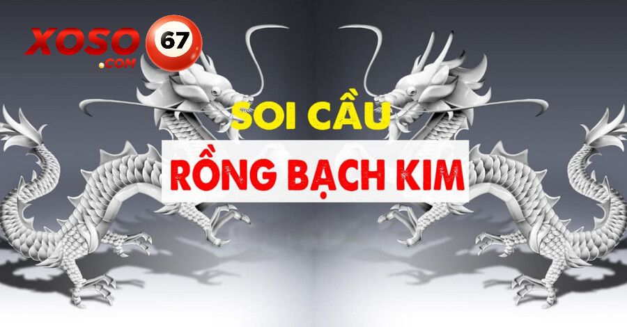 rồng bạch kim 555