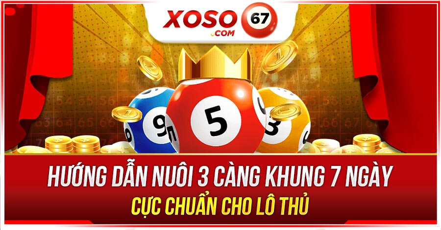 3 càng khung 7 ngày